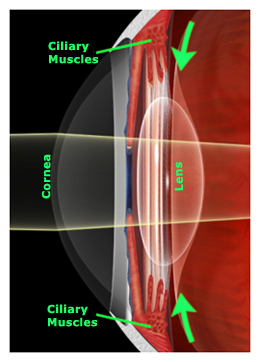 presbyopia mesa arizona