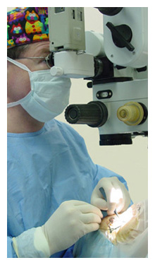 Ophthalmologist Arizona